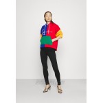 Karl Kani SIGNATURE BLOCK HOODIE Sweatshirt multicolor/multicoloured