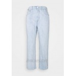 Replay TYNA PANTS Relaxed fit jeans light blue/lightblue denim