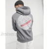 Arcminute hoodie with back print in grey  