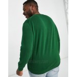 Lacoste logo crew neck knit sweater in green