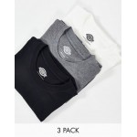 Dickies 3-pack T-shirts in multi